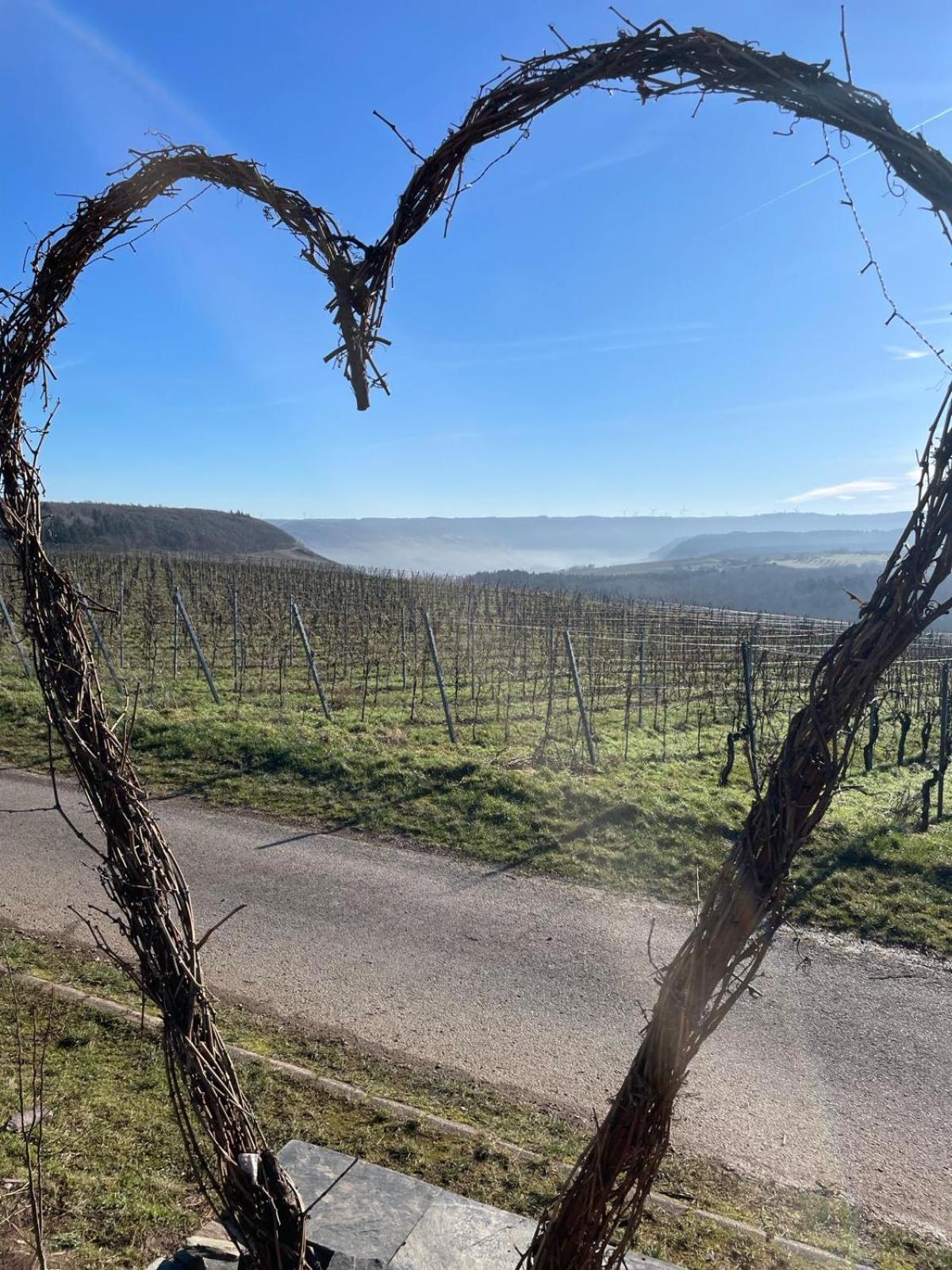 Fewo Waldblick - Urlaub Im Wein & Ferienort Bekond Bagian luar foto